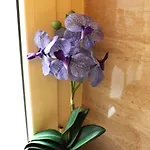 Easy Flat Apartamento