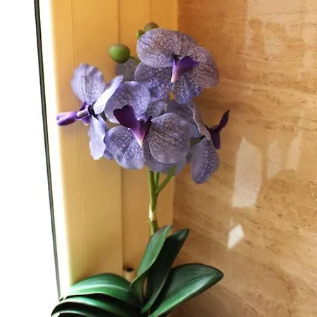 Easy Flat Apartmán